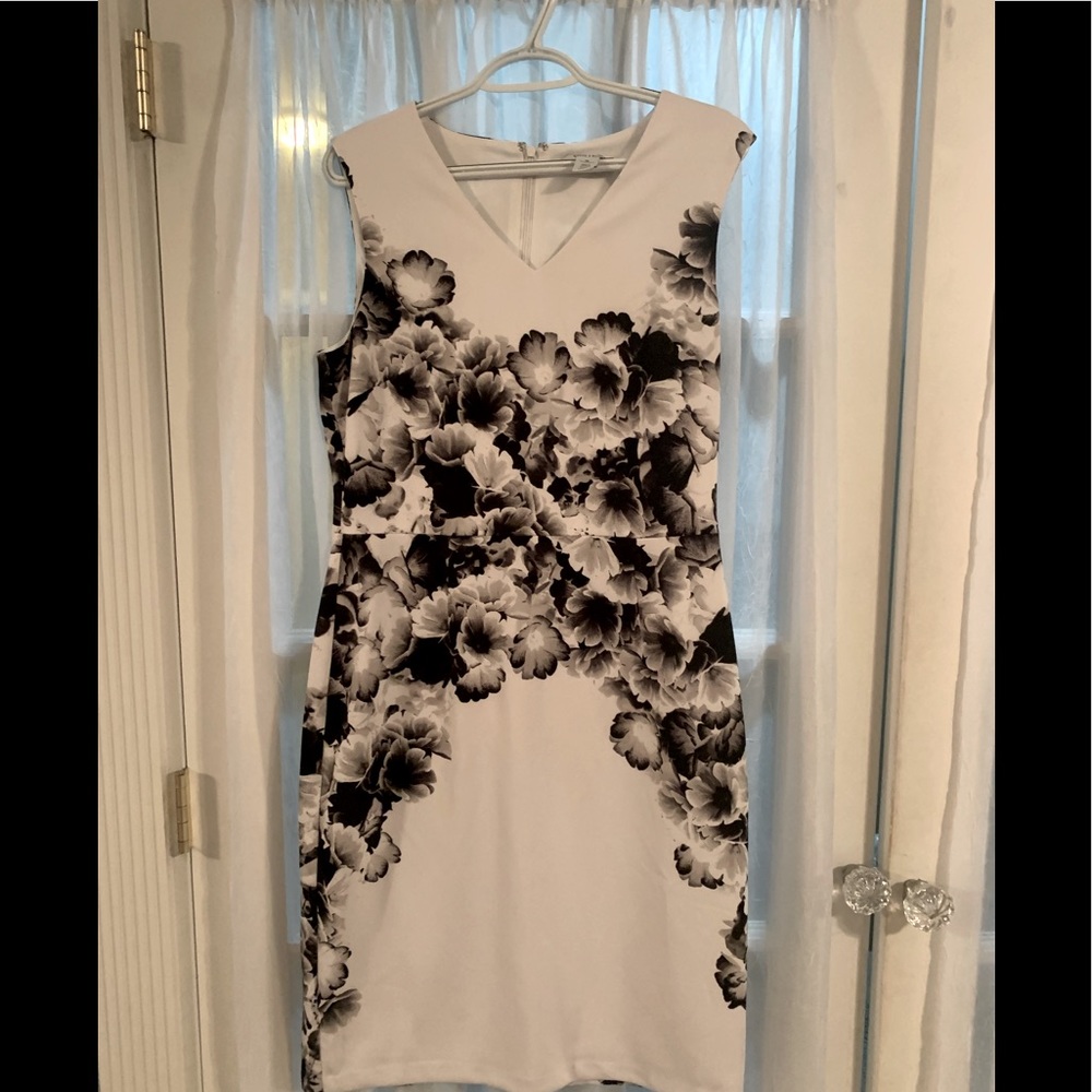 White House Black Market Women’s Sleeveless Dress